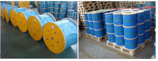 PVC - Pu nylon Coated Wire rope for flexible Wire rope, durable Quality, wholesale Price